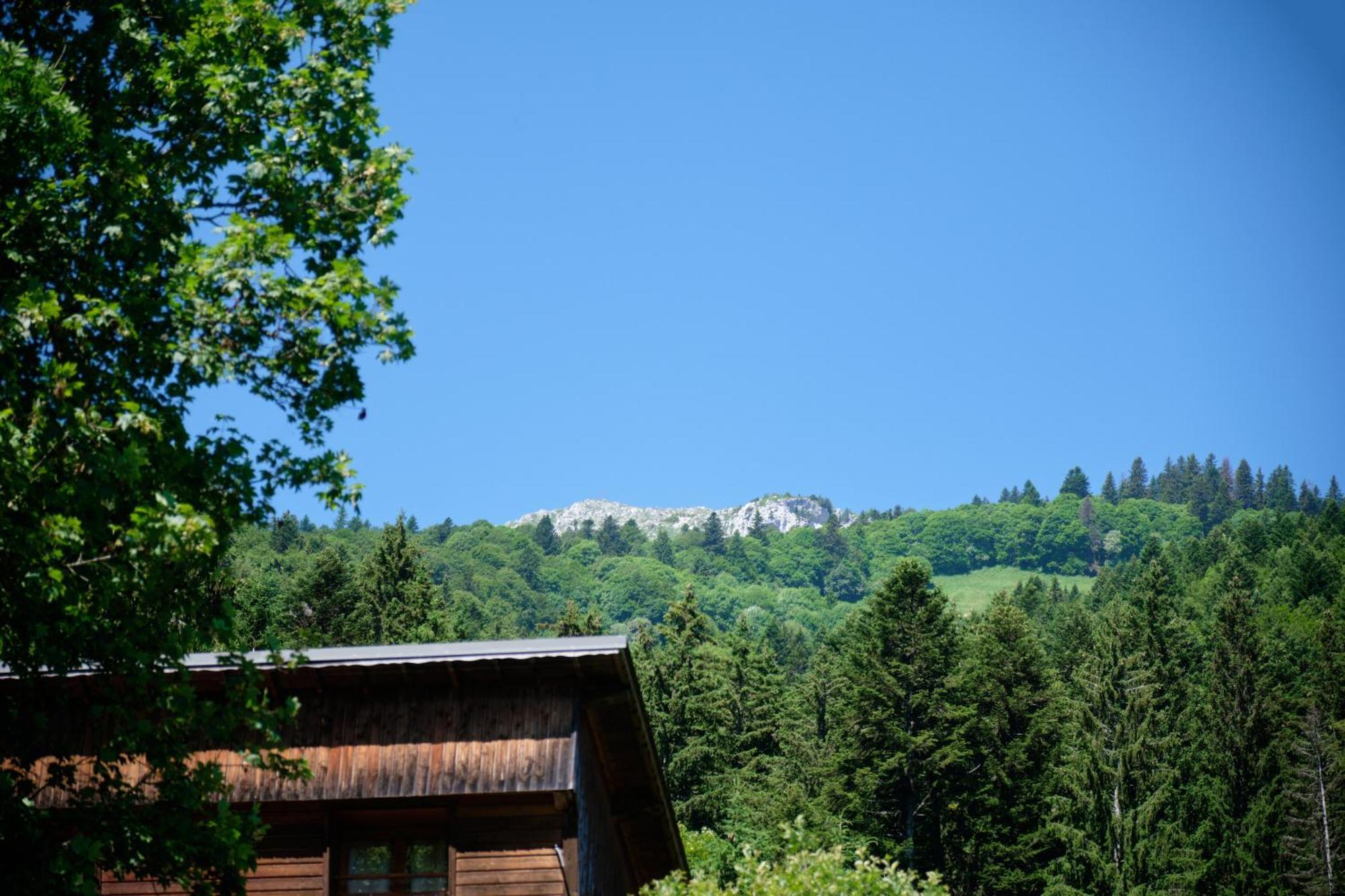 Chalet Le Lys Martagon Saint-Pierre-d'Entremont  ภายนอก รูปภาพ